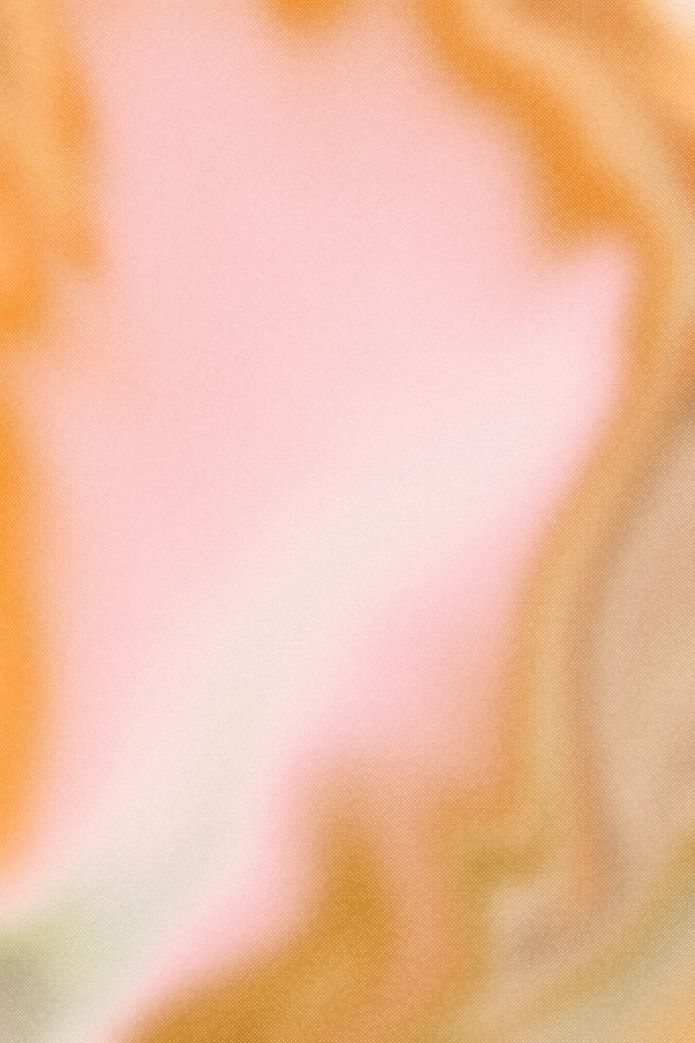 优雅复古花朵花卉植物字母装饰插画无缝背景PNG免抠手账设计素材【004】